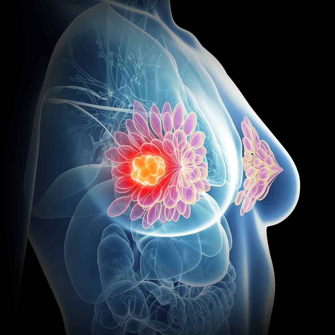 Dr. Geeta Clinical Treatment Environment